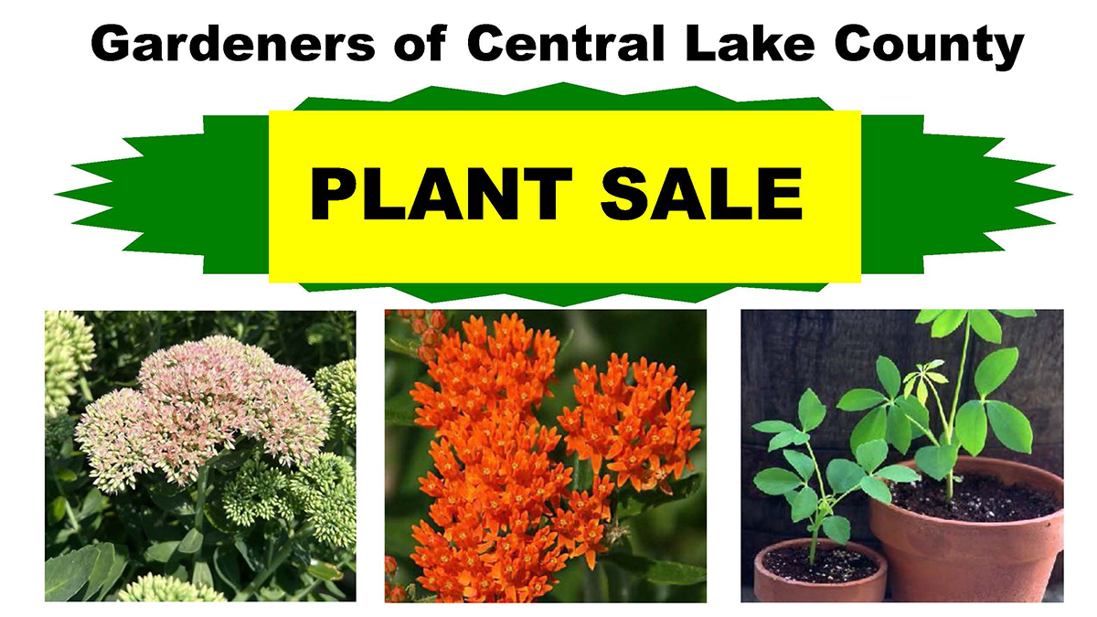 Gardeners of Central Lake County Plant Sale